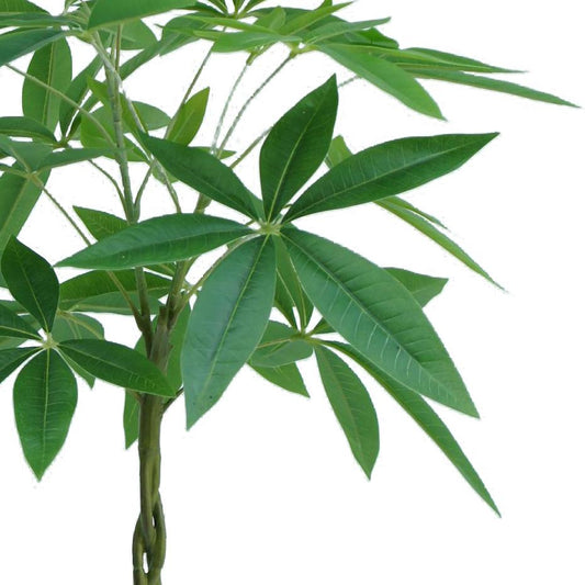 70cm Artificial Money Tree Pachira Realistic Faux Plant – image 2