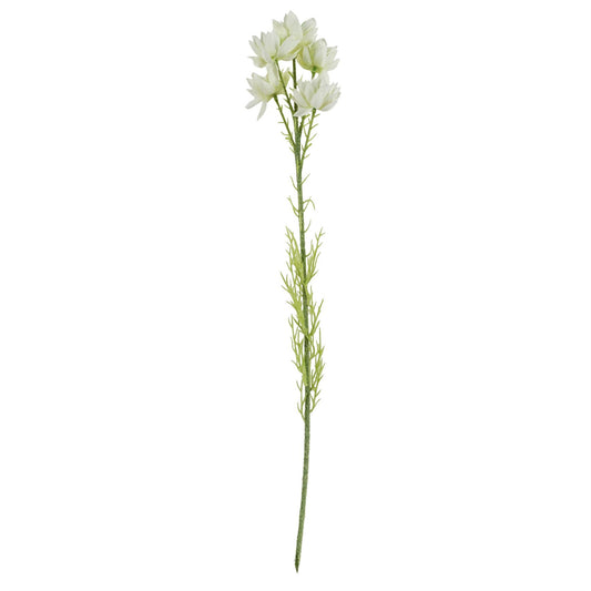 60cm Artificial White Starflower Stem 5 Flowers