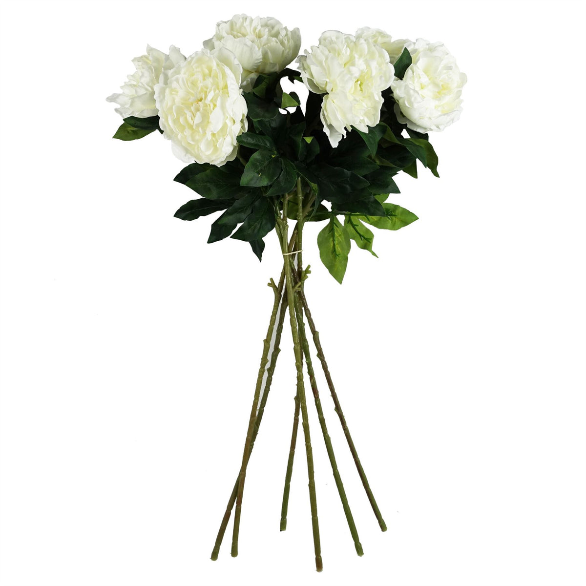 Pack of 6 x 80cm Artificial Cream Peony Stem