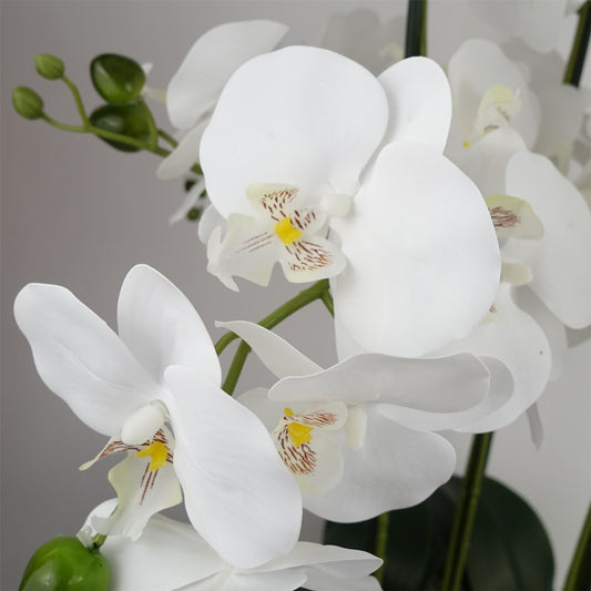 Artificial 60cm Orchid White Black Ceramic Planter