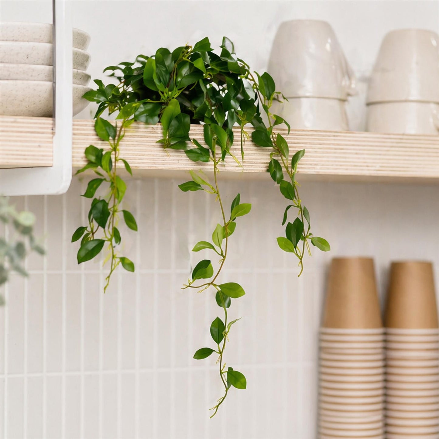 55cm Artificial Trailing Ficus Vine Stem