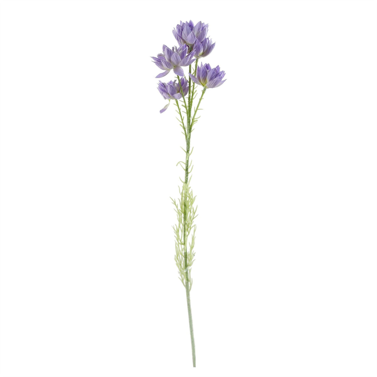 Pack of 6 x 60cm Purple Starflower Stem - 30 Flowers
