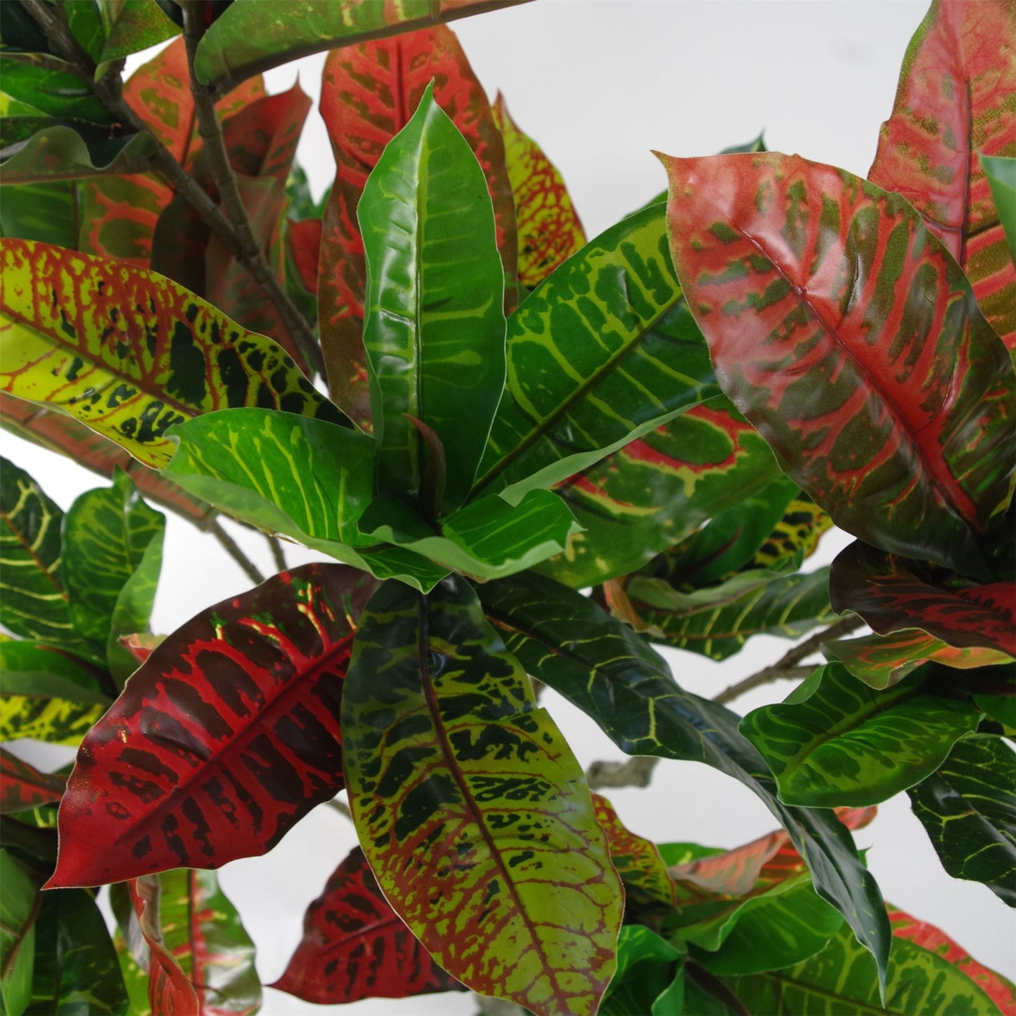 130cm Artificial Codiaeum Multicoloured House Plant – image 4