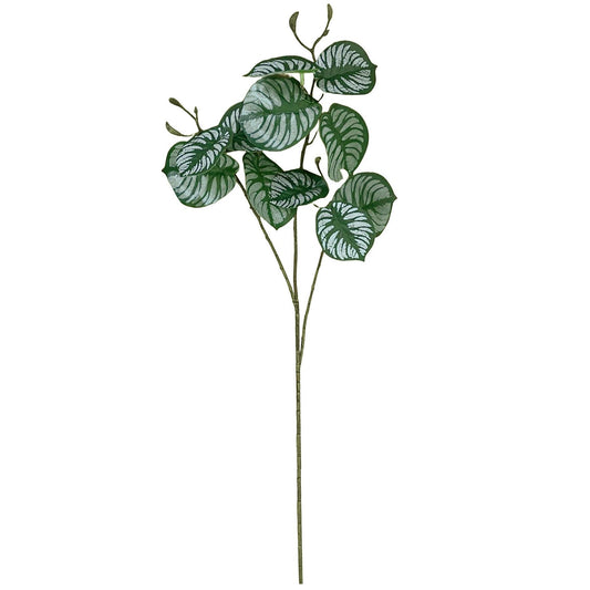 70cm Artificial Zebra Foliage