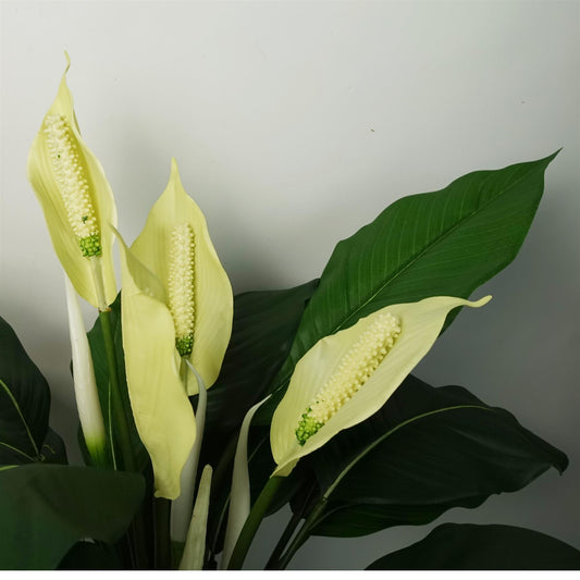 Artificial White Spathiphyllum Peace Lily – image 2