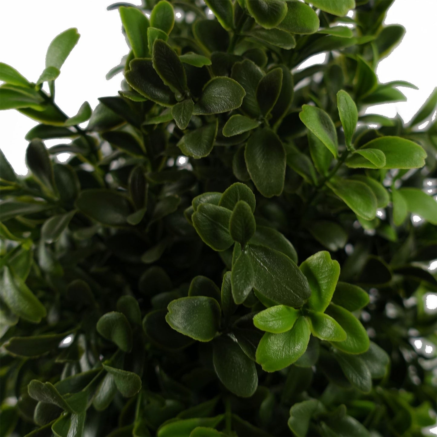 Artificial 120cm Pair of Spiral Boxwood Tree UV Resistant Outdoor