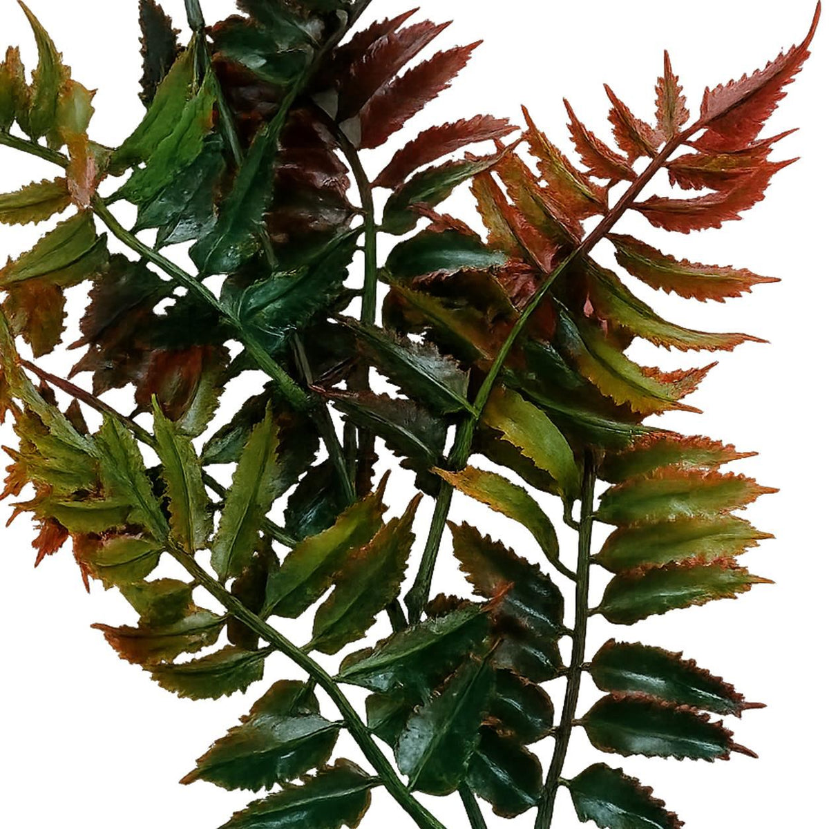 Pack of 6 x 50cm Artificial Fern Spray Stem - Autumn Orange