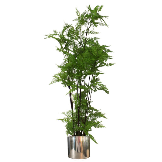 150cm Artificial Moss Base Fern Foliage Plant with Silver Metal Plater