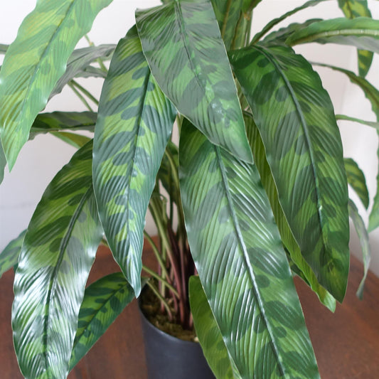 60cm Variegated Artificial Calathea Plant – image 2