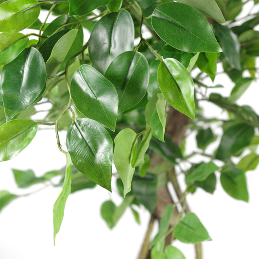 Artificial Twisted Trunk Japanese Fruticosa Style Ficus Tree 120cm – image 2