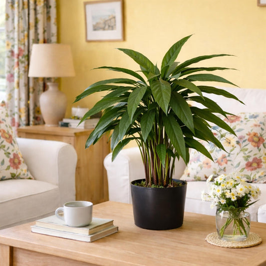 60cm Artificial Calathea Evergreen Plant – image 2