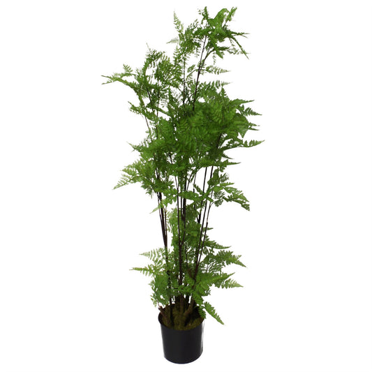 Artificial 150cm Natural Moss Base Fern Foliage Plant