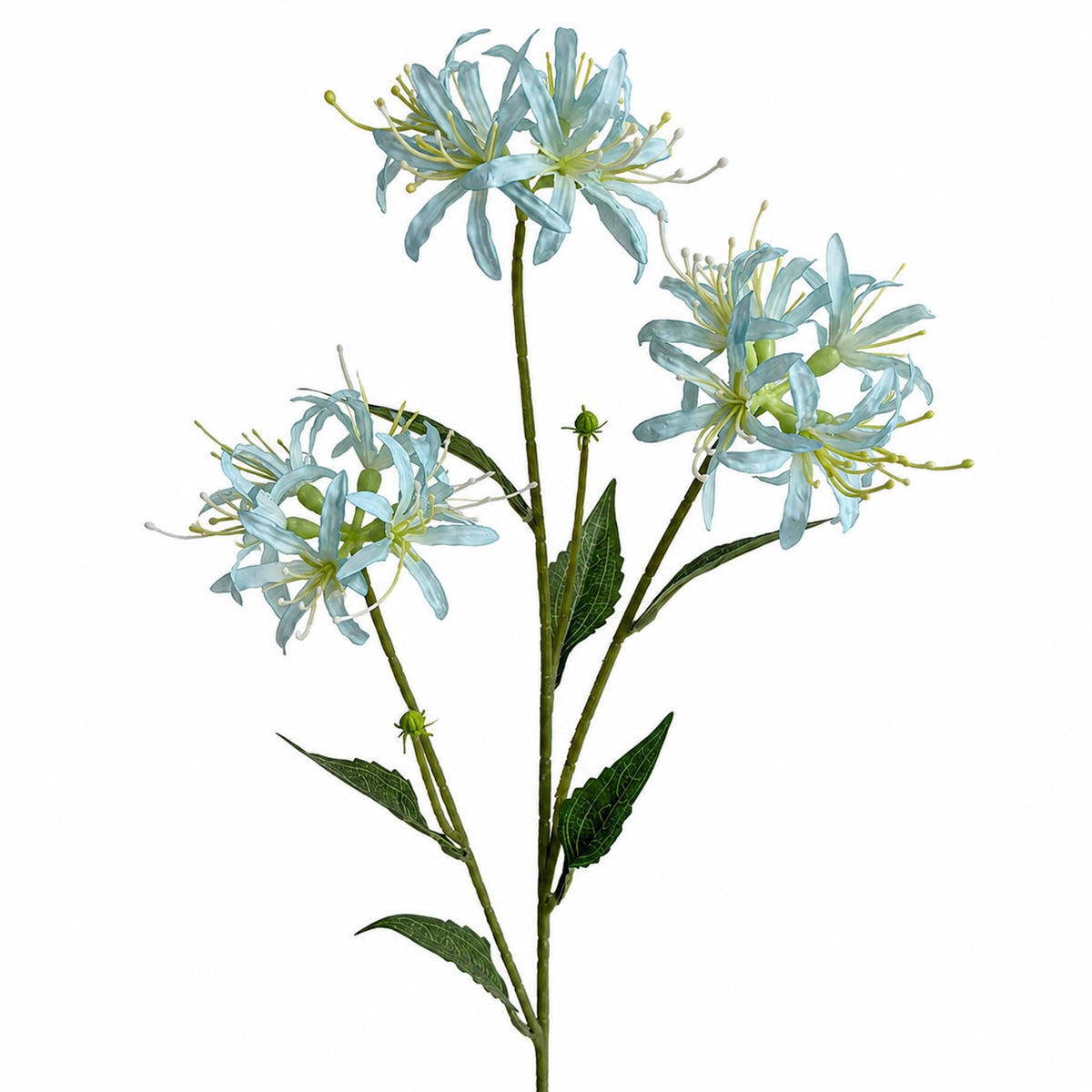 Pack of 6 x 72cm Artificial Light Blue Spider Lily Stems