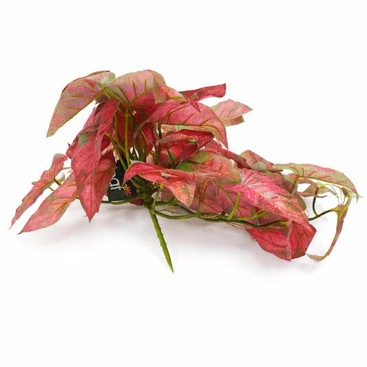 30cm Artificial Trailing Red Caladium – image 2