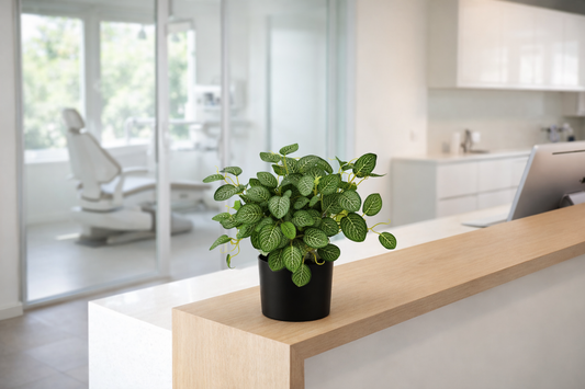 Bringing the Outdoors In: Biophilic Design with Faux Plants