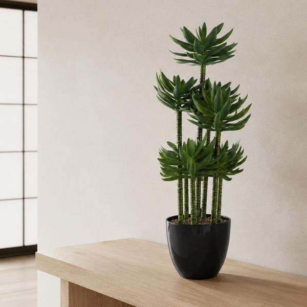 Planters & Vases