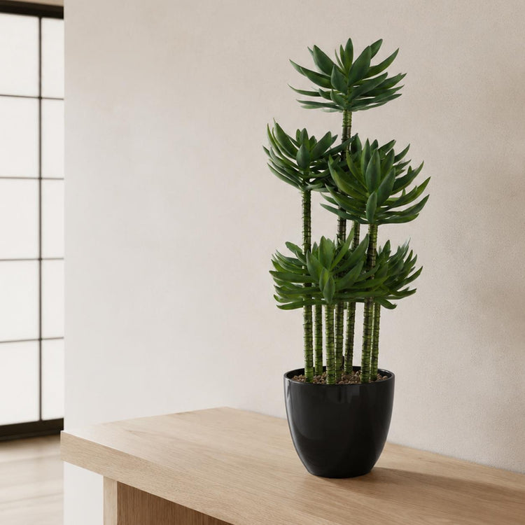 Planters