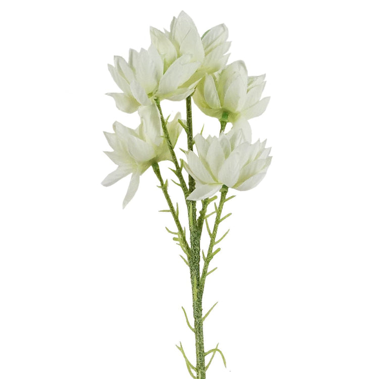 Stem Flowers