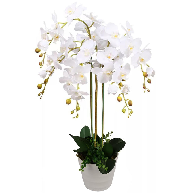 Flower Bundles & Bouquets