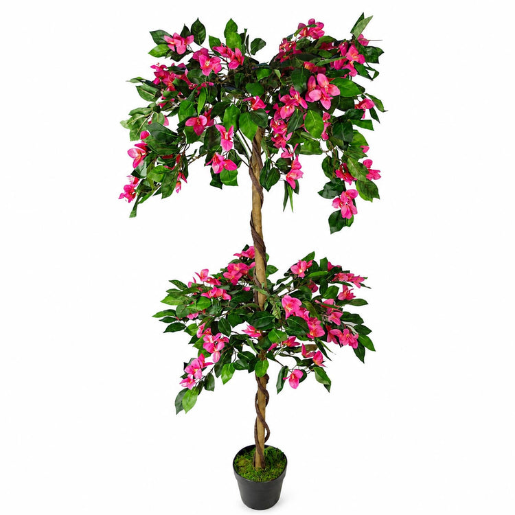 Flowering Large Plants