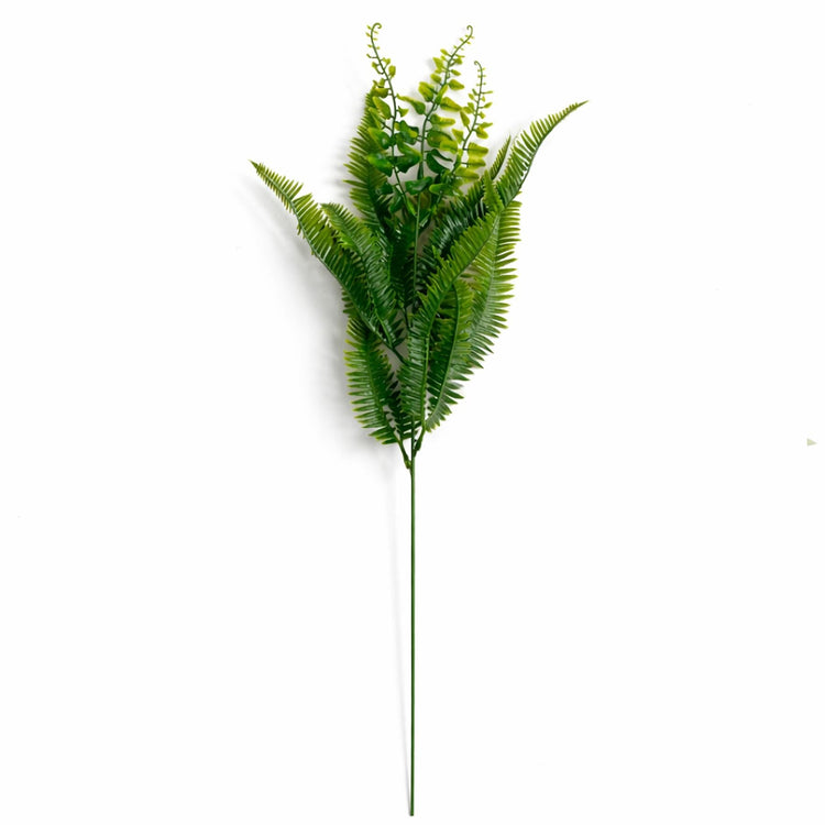 Stem Foliage