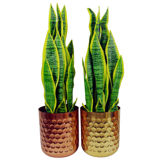 Honeycomb Planter Copper 18cm x 15.5cm