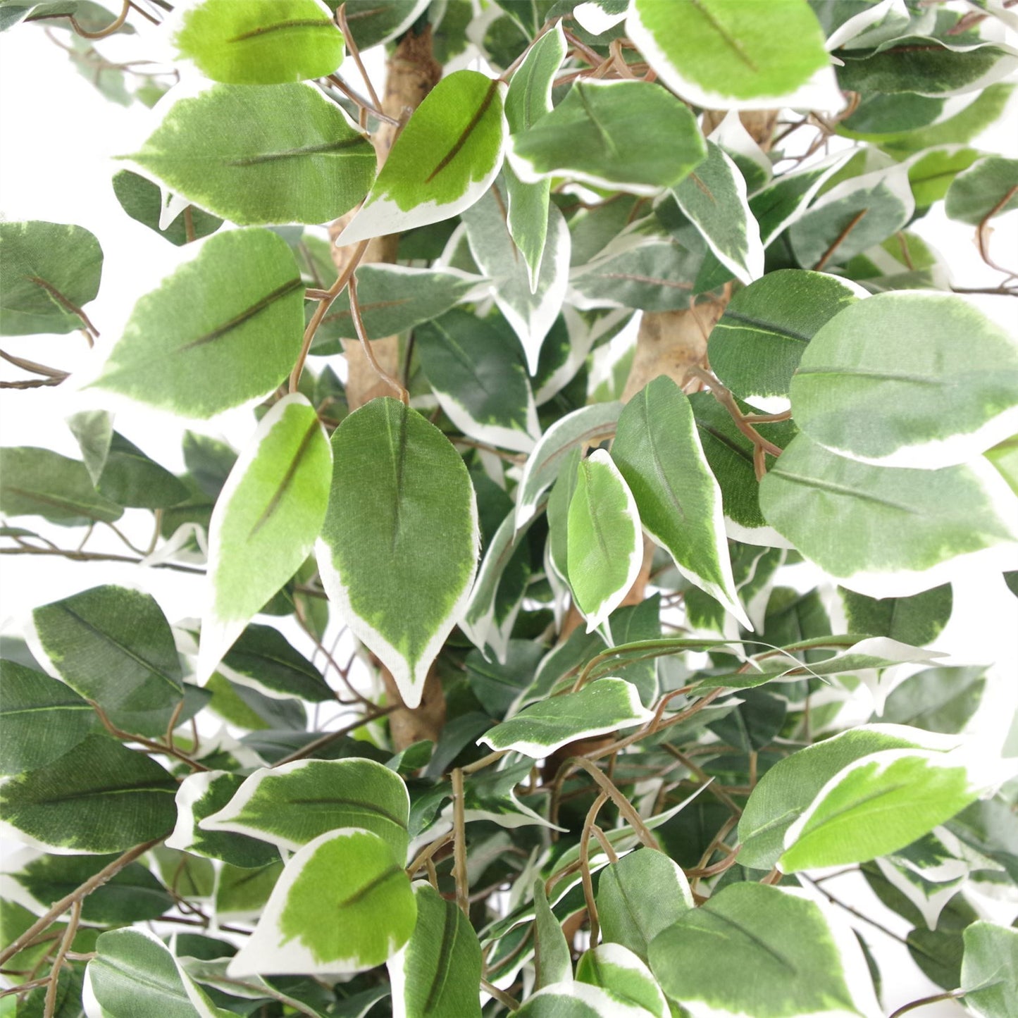 130cm Artificial Variegated White/Green Ficus Tree Copper Planter – image 2