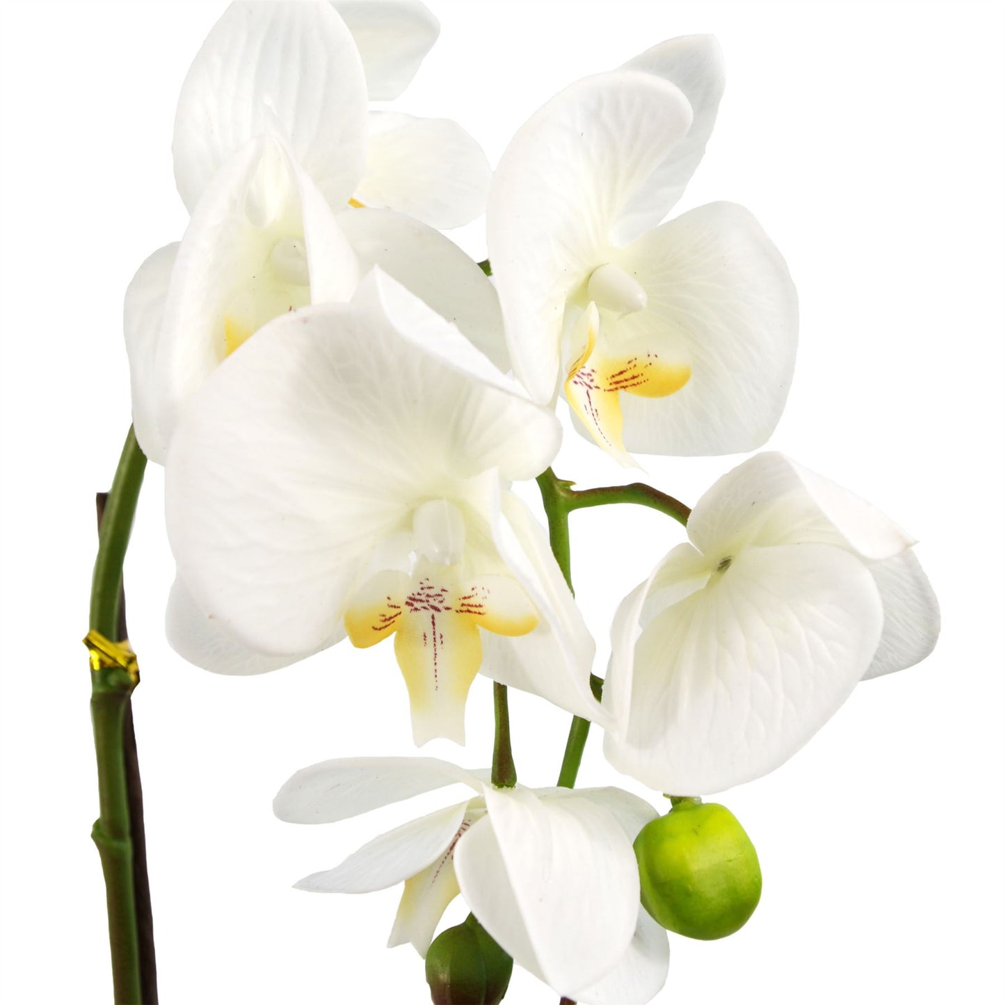 46cm Artificial Orchid White Gold