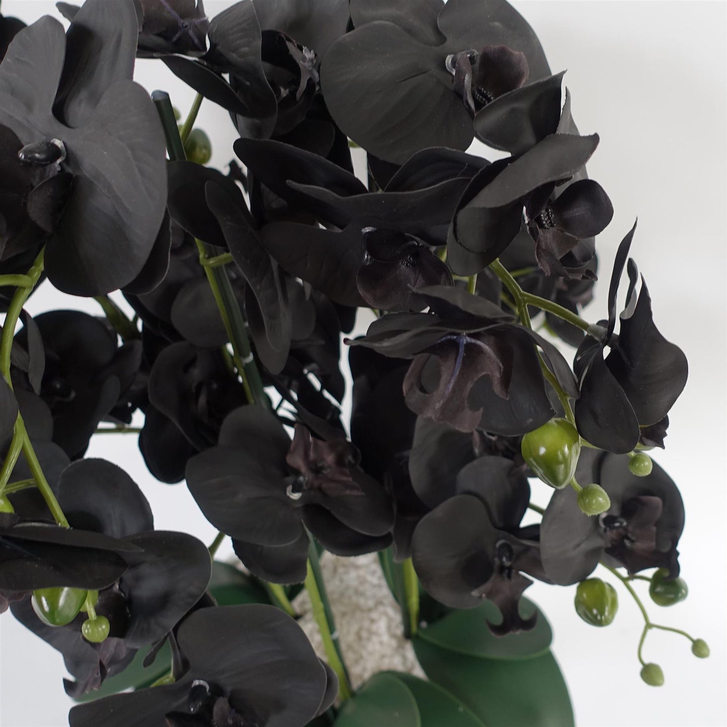 60cm Orchid Artificial Black White Ceramic Planter