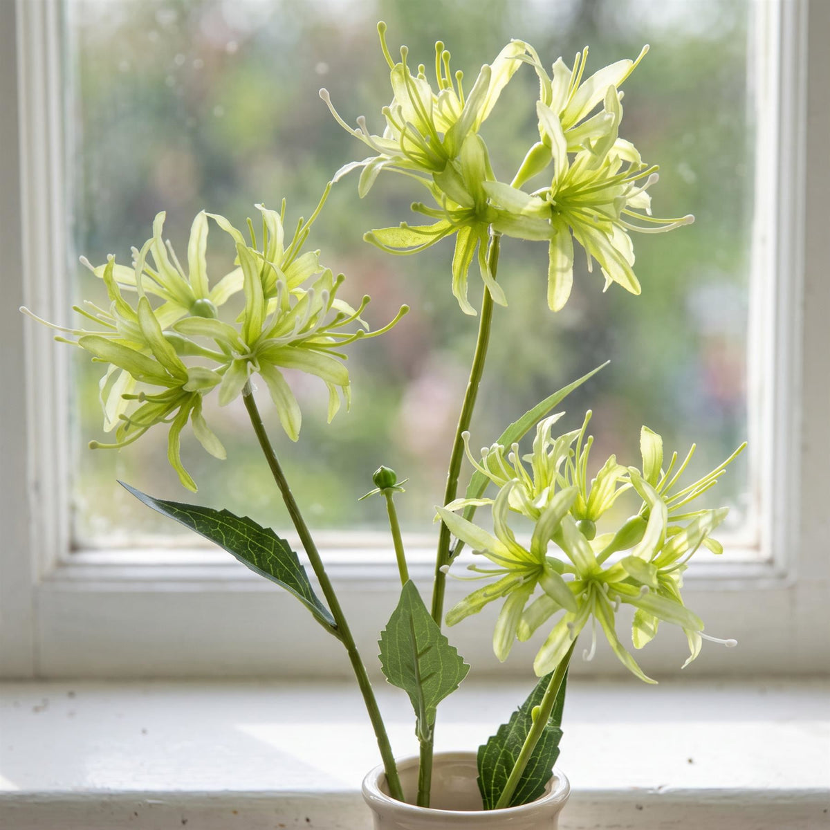 Pack of 6 x 72cm Artificial Lime Green Spider Lily Stems