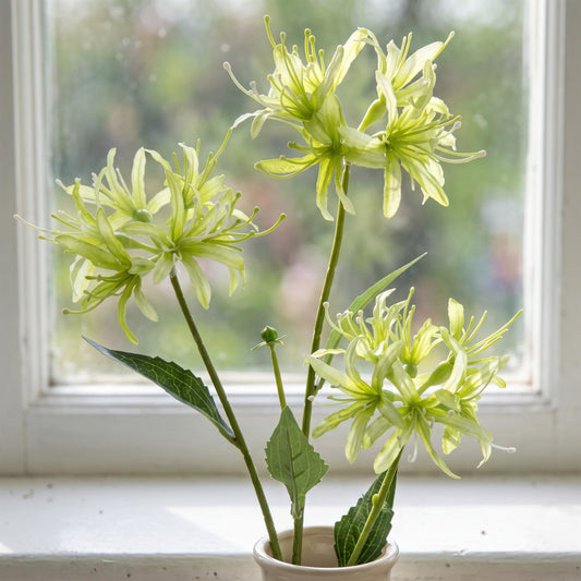 Pack of 6 x 72cm Artificial Lime Green Spider Lily Stems