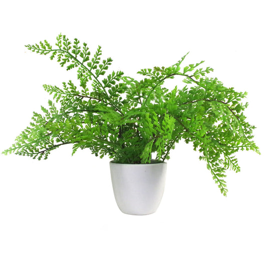 Faux 30cm Artificial Potted Royal Fern
