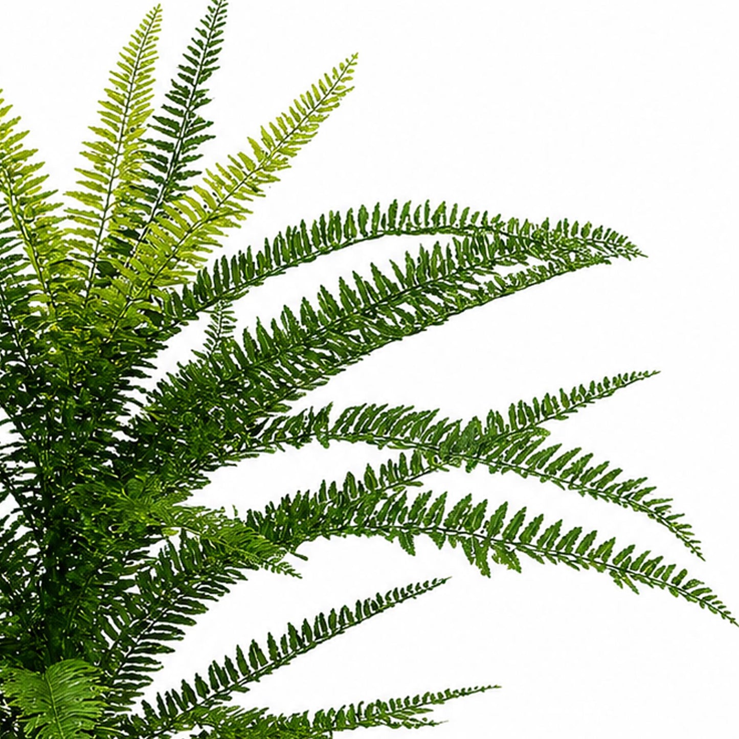 75cm Artificial Fire Retardant Plastic Boston Fern Plant