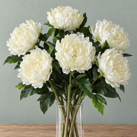Pack of 6 x 80cm Artificial Cream Peony Stem