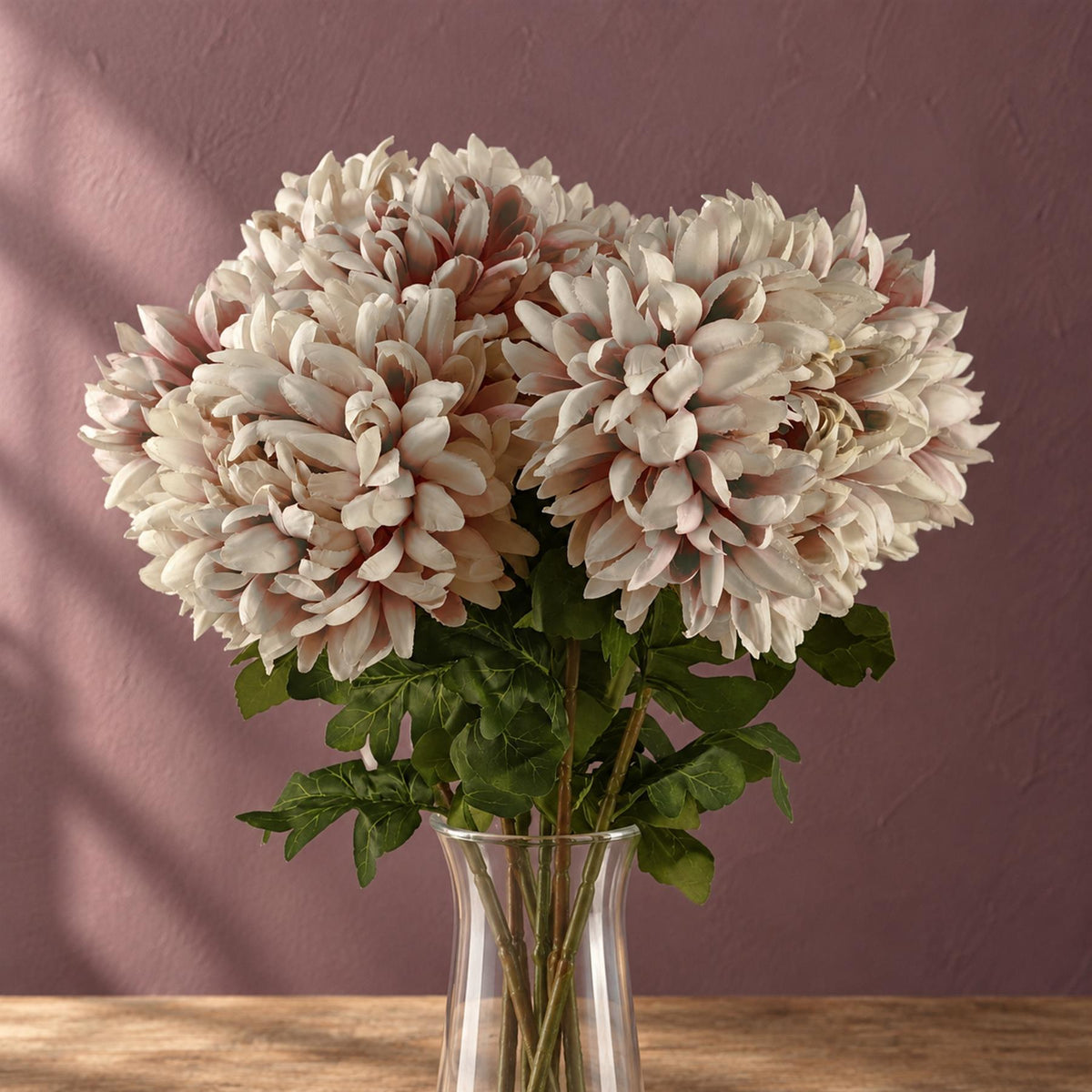 Pack of 6 x 75cm Extra Large Reflex Chrysanthemum - Mushroom