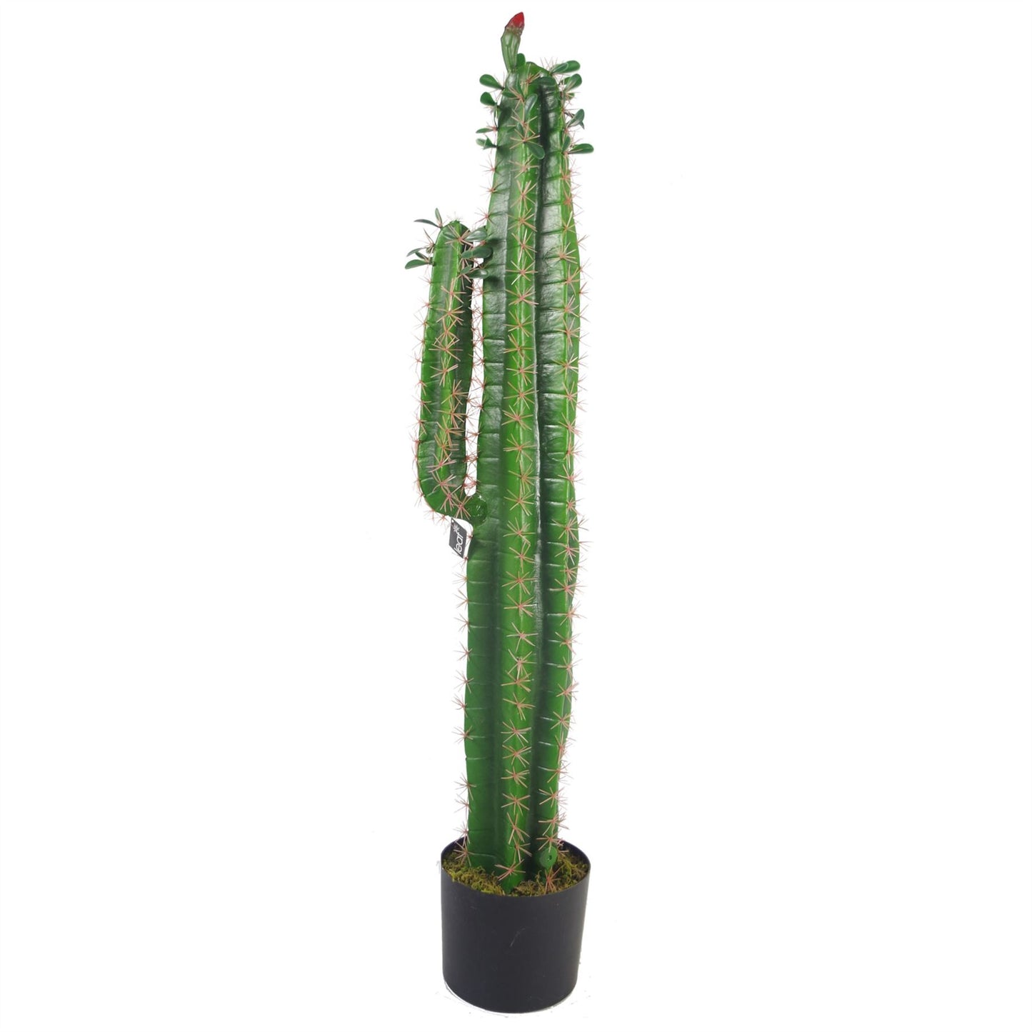Artificial 100cm Premium Cactus with pot