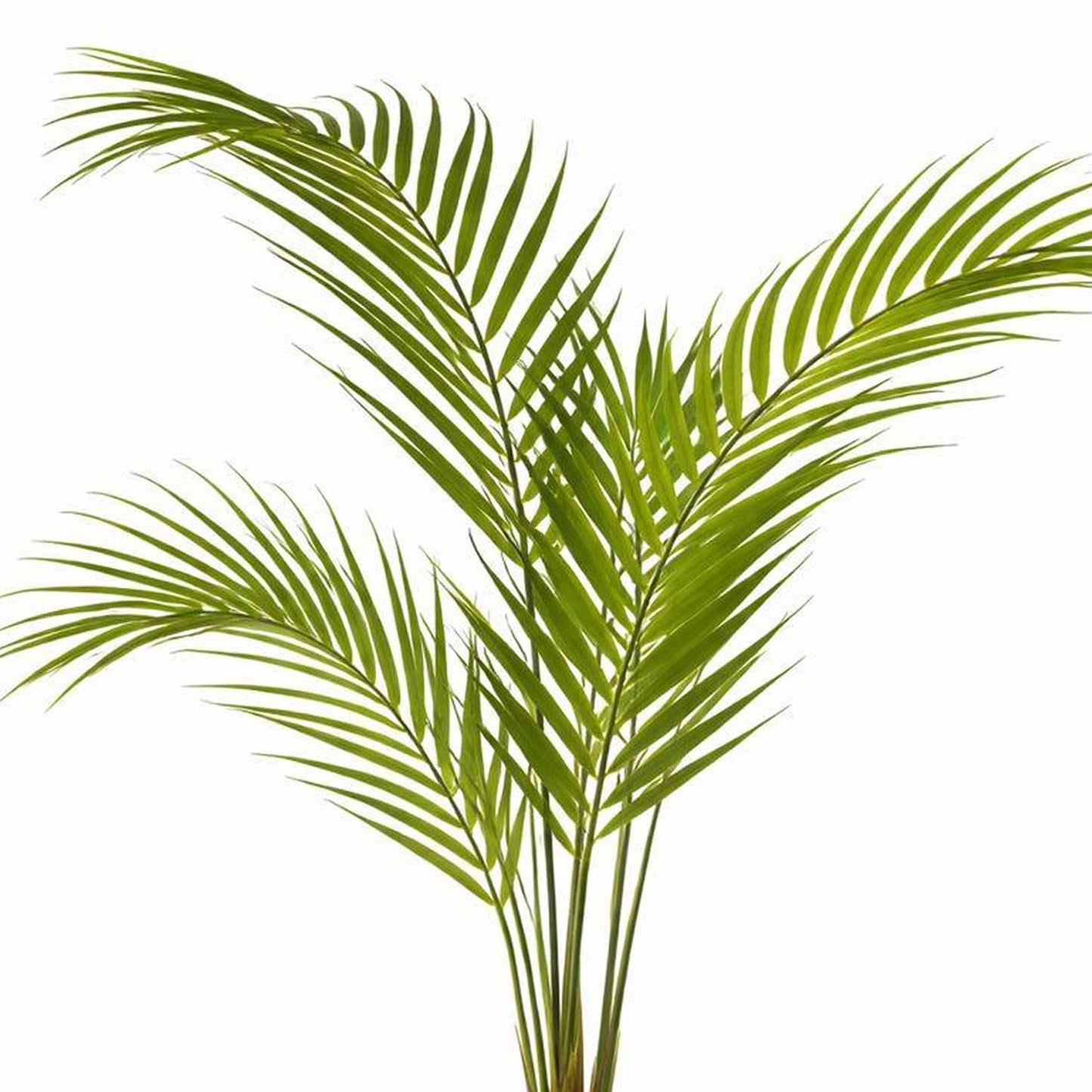 70cm Artificial Areca Palm Tree