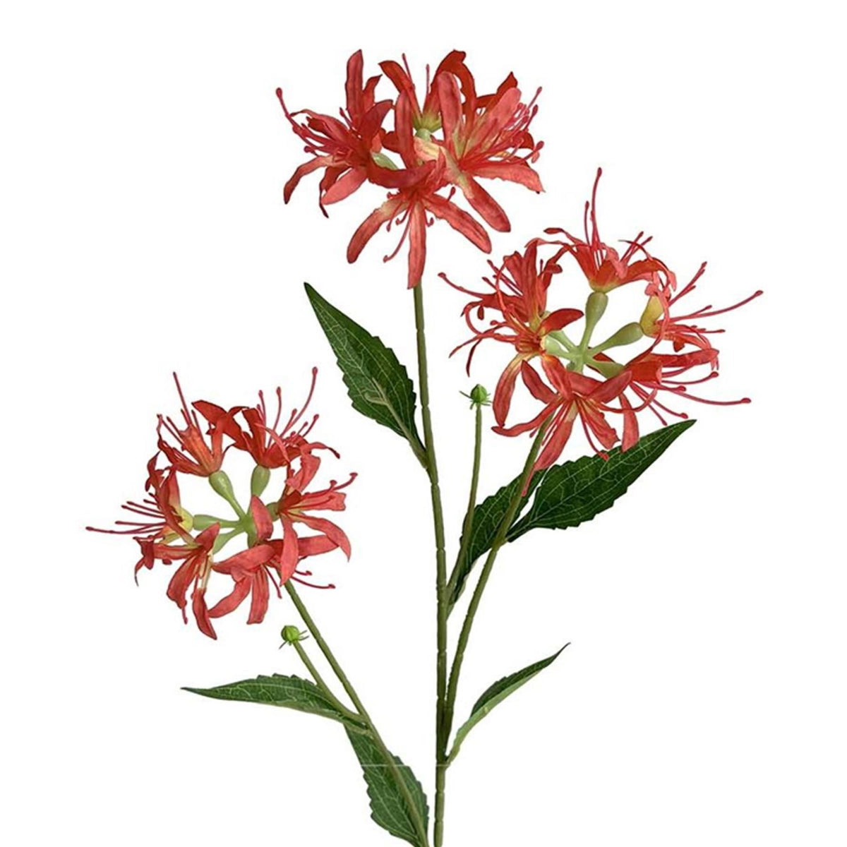 Pack of 6 x 72cm Artificial Coral Spider Lily Stems