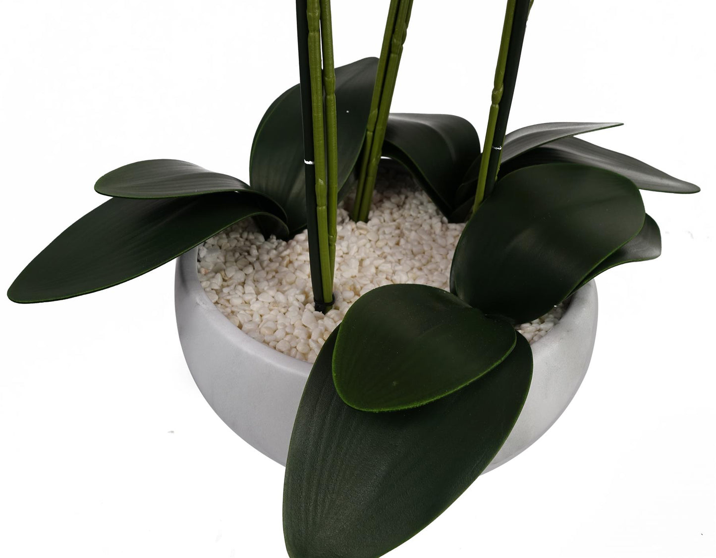 60cm Orchid Artificial Black White Ceramic Planter