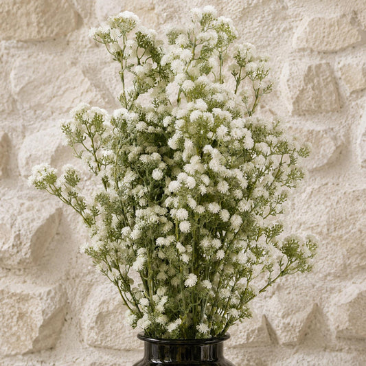 Pack of 6 x 85cm Gypsophila White Stem