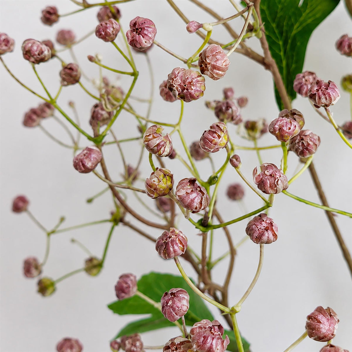86cm Artificial Dusky Pink Daphne Berry Spray