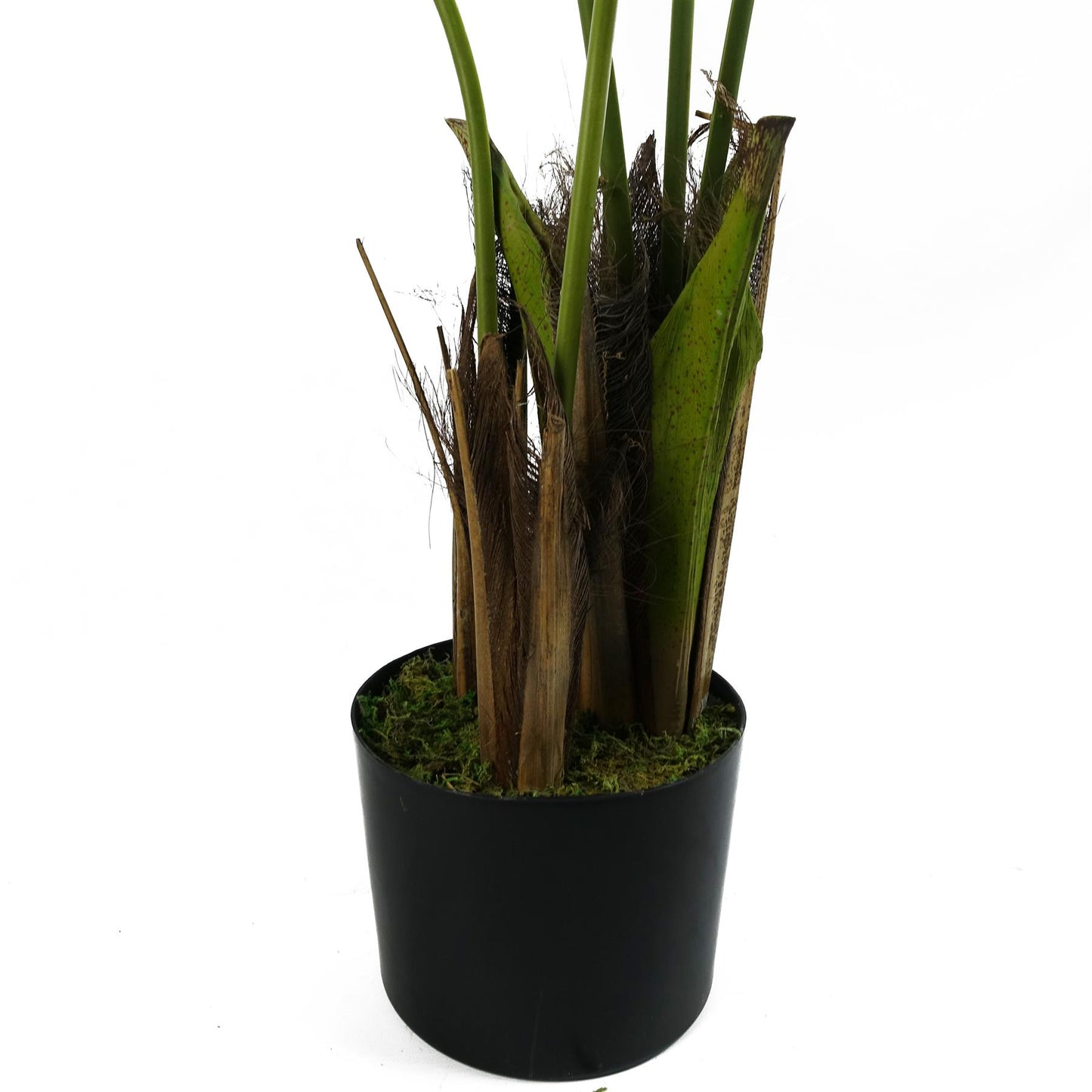 Artificial 120cm Kentia Palm Tree