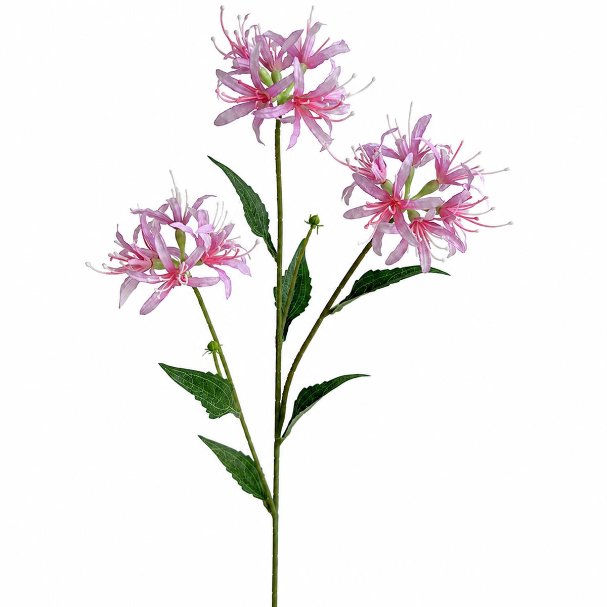 72cm Artificial Pink Spider Lily Stem
