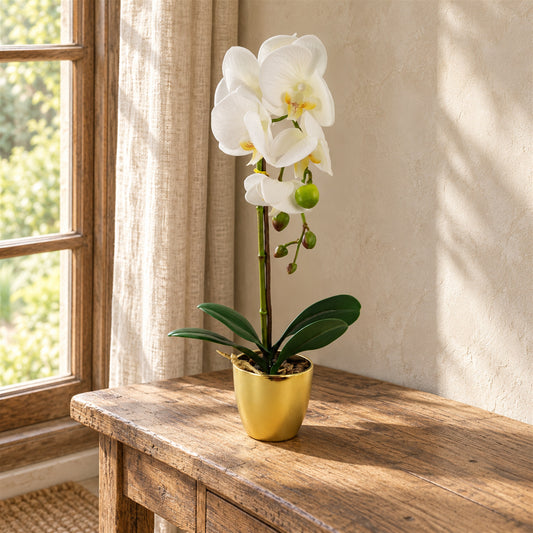 46cm Artificial Orchid White Gold