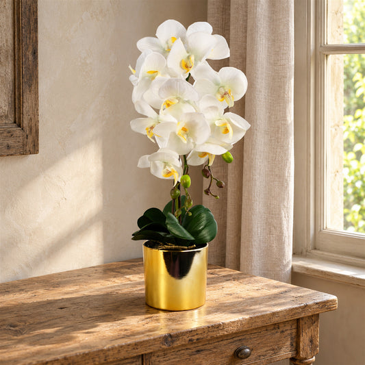52cm Artificial Orchid Large White Gold