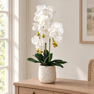 Artificial 60cm Pure White Orchid with Ceramic Bubble Planter