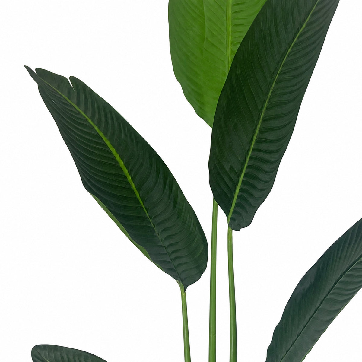 120cm Artificial UV Traveller Banana Palm Tree – image 4