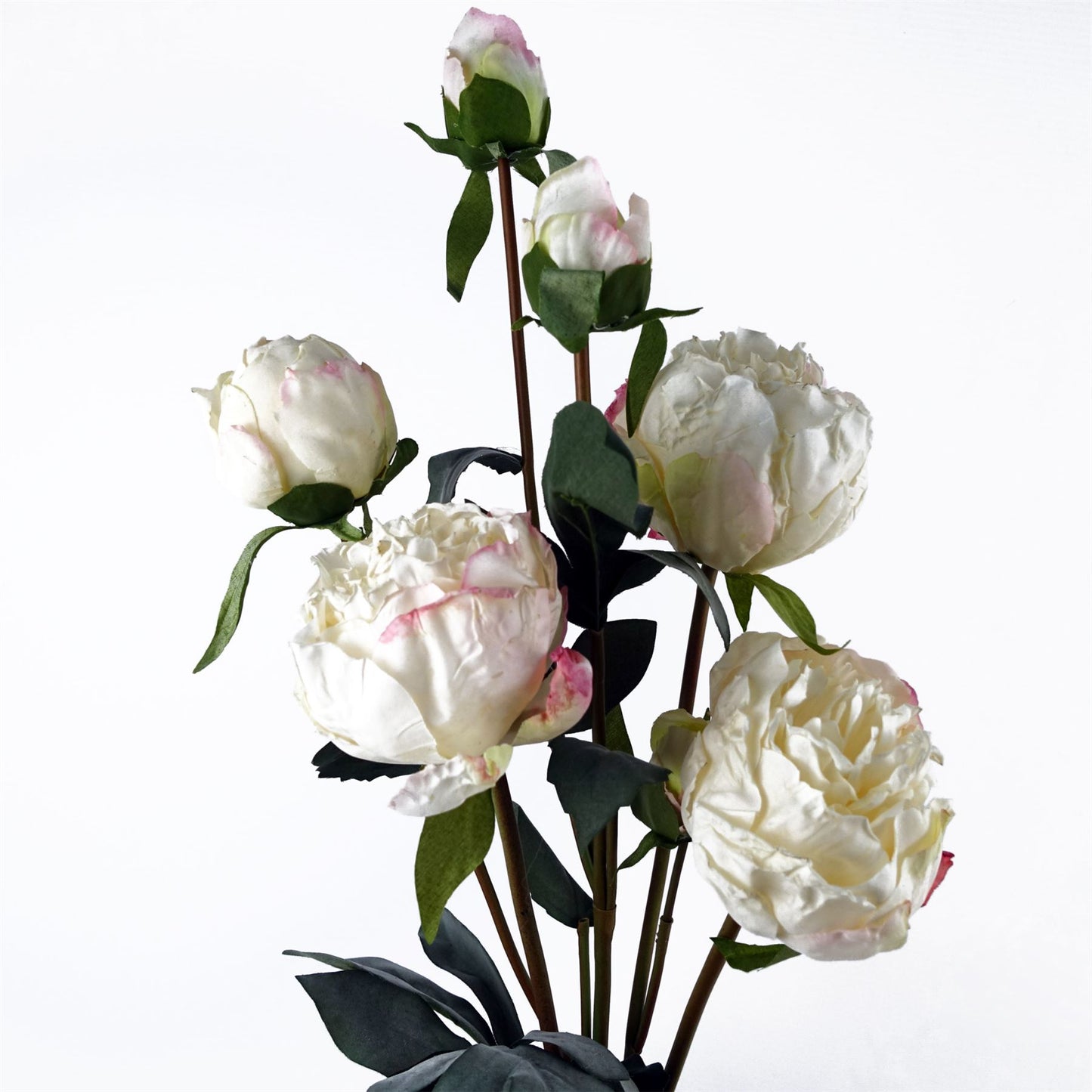 6 x 55cm Cream Peony Artificial Flower Stems 24 flowers 18 buds