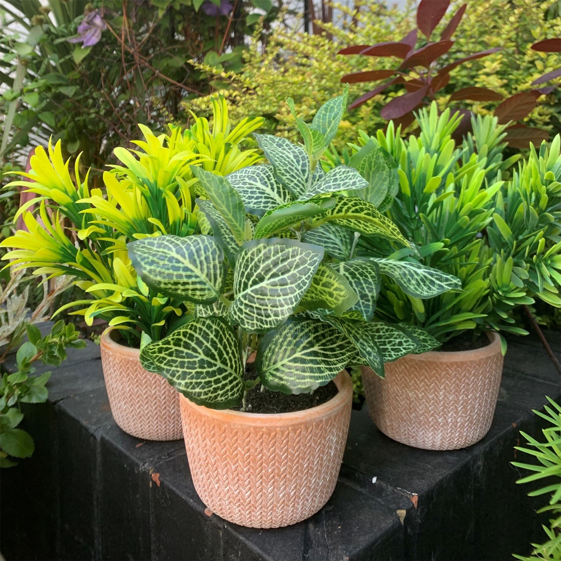 22cm Artificial Honey Plant Dark Green in Terracotta Pot – image 4