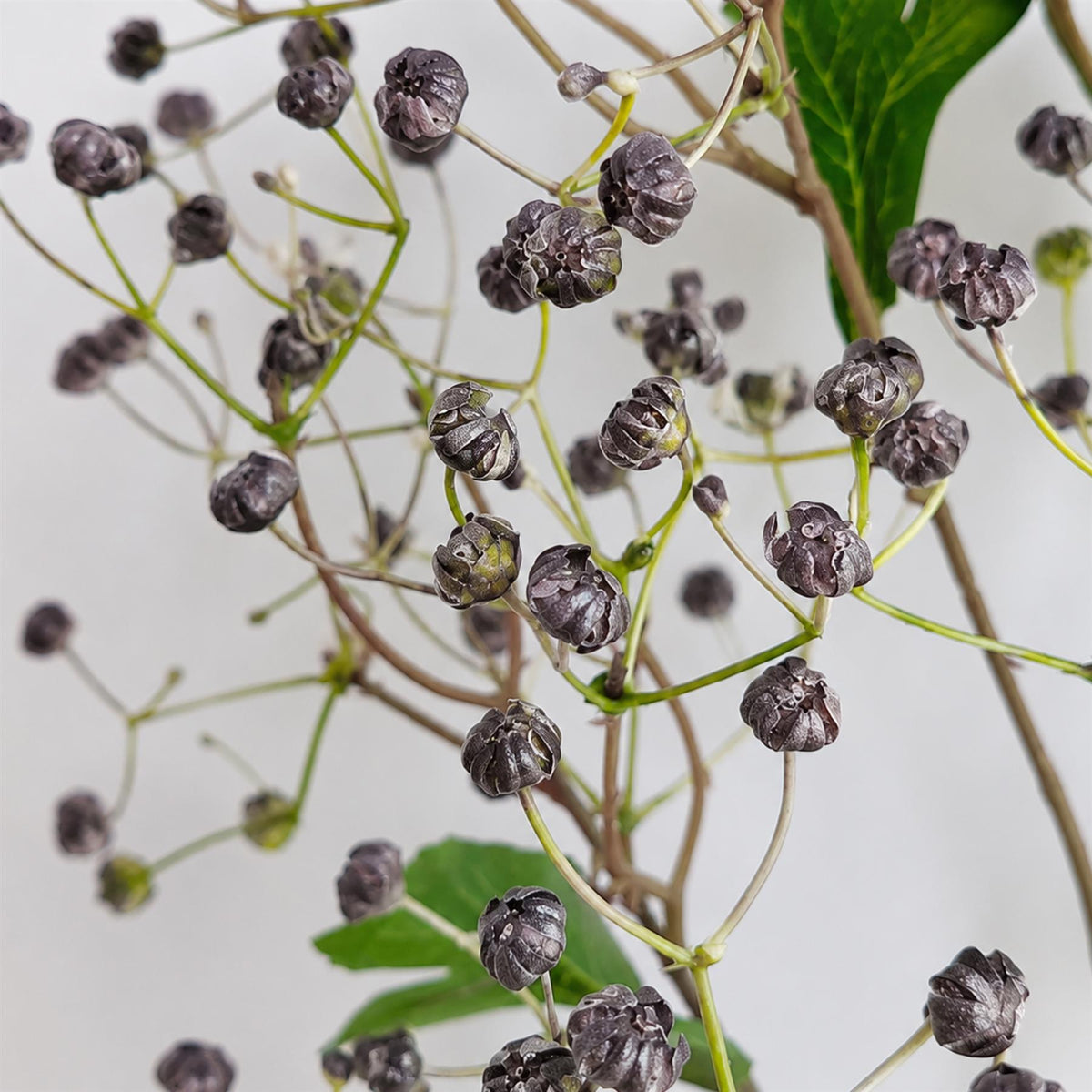 Pack of 6 x 86cm Artificial Blue Daphne Berry Sprays